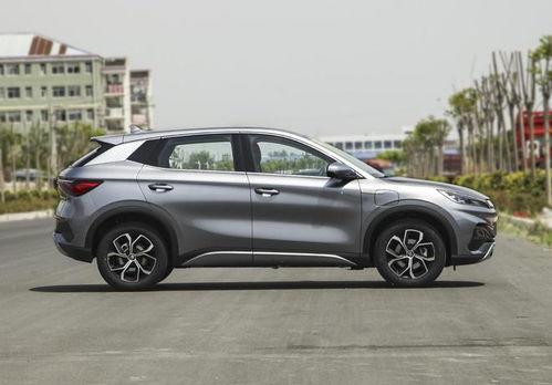 国产五月  第1张