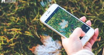 手机看片1024国产旧版 第3张 手机看片1024国产旧版 第3张