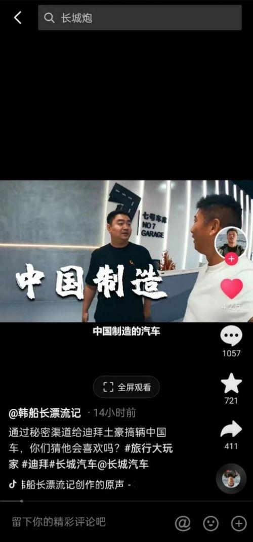 在线国产你懂的,揭秘国产影视作品中的独特魅力与时代印记  第2张